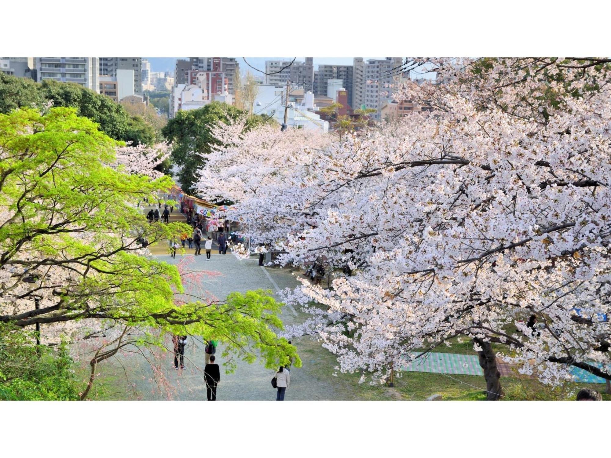 Business Ryokan Otamaya Sendai Eksteriør bilde